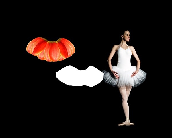 Creation of Tulip Ballerina: Step 3