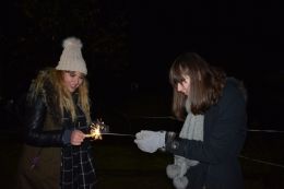 Bonfire Night Sparklers