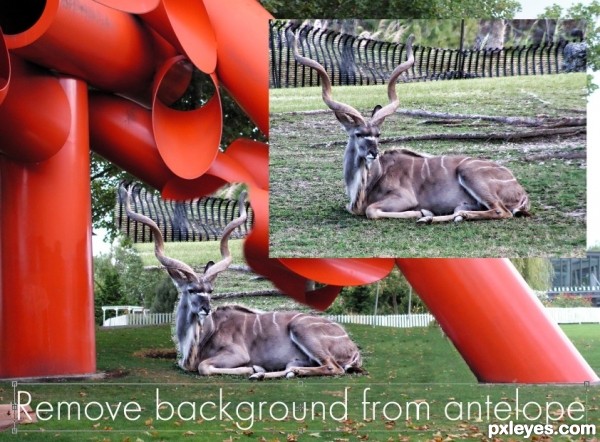 Creation of Public Art with Antelope: Step 4