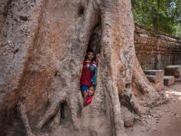 Three kids in a tree