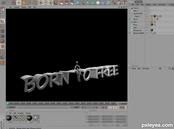 Creation of Born to free: Step 1