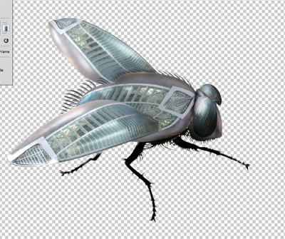 Creation of Heart of a fly: Step 5