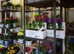 Valentine flower shop