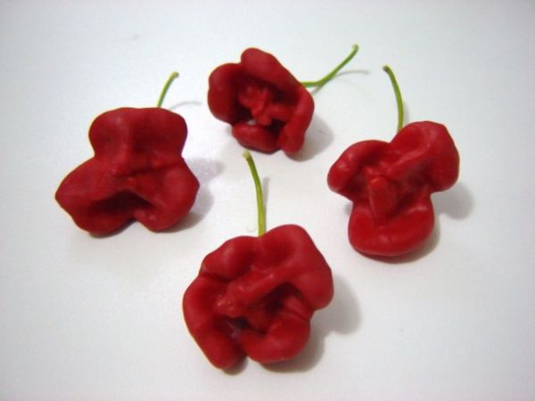 Chili peppers