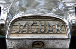 Jaguar