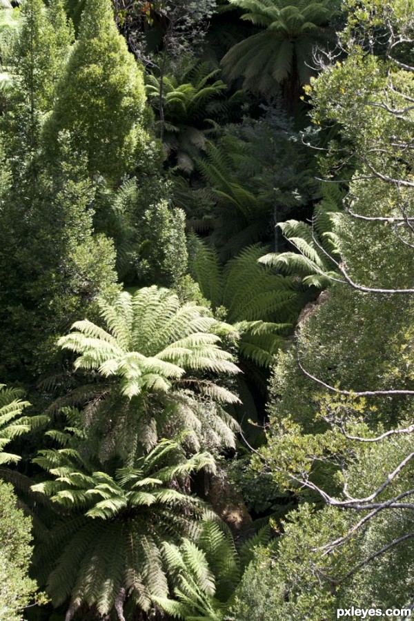 Creation of Looking into the gully: Step 4