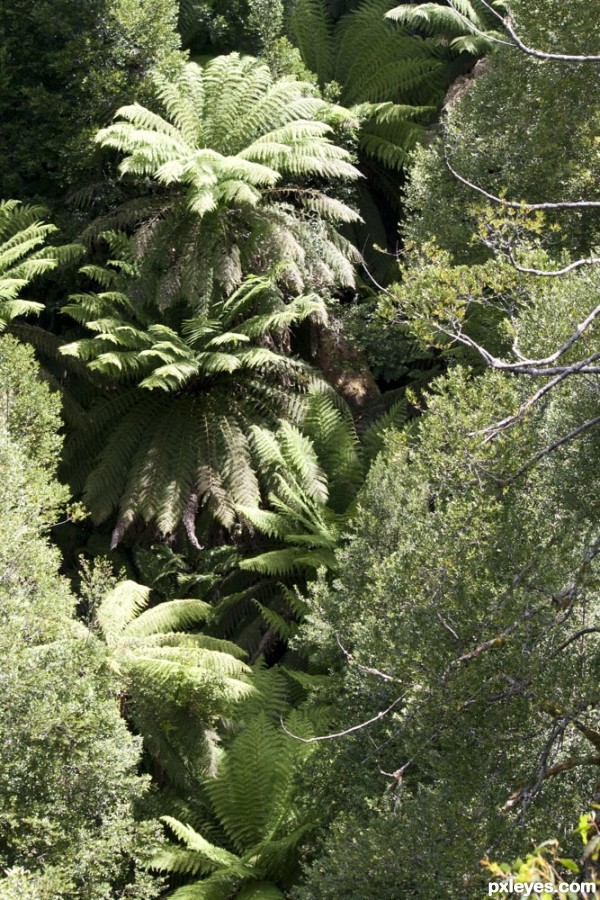 Creation of Looking into the gully: Step 5