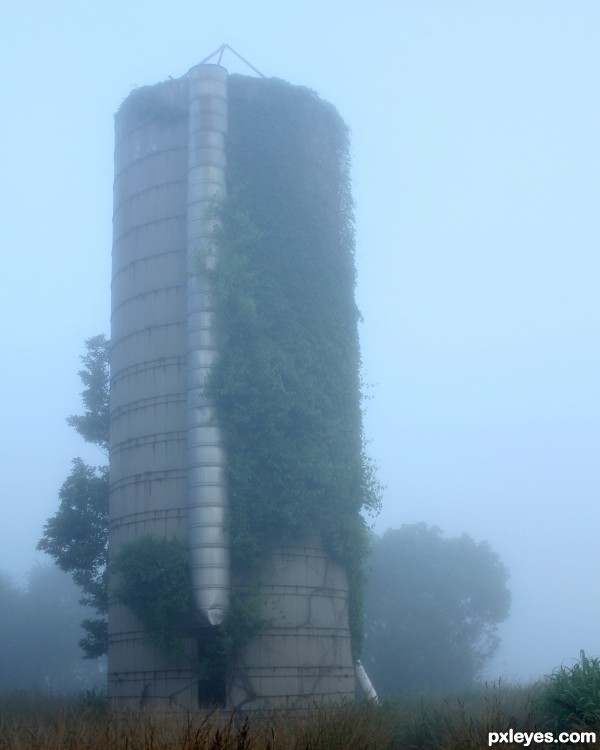 Creation of Silo in Fog: Step 1