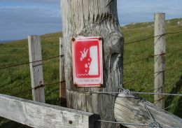 Dangerous cliffs in Scotland