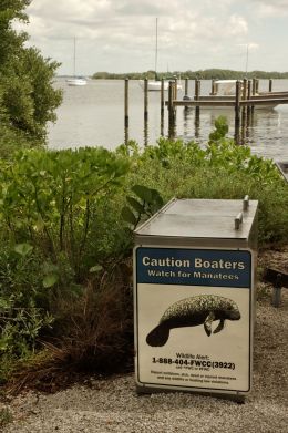 Manatee Warning