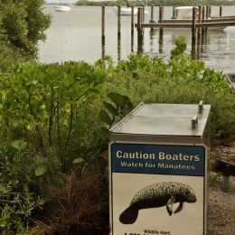 ManateeWarning