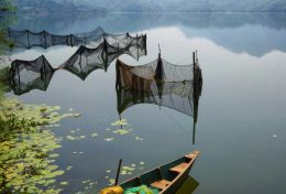 Nets in Water