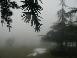 Condensed mist