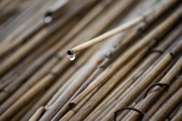 Water reed roof in the rain