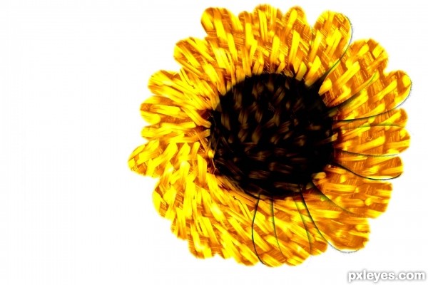 Creation of Sunflower: Step 4