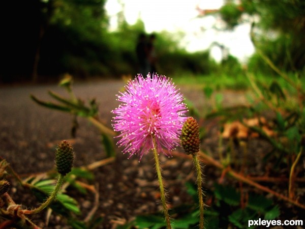 Jus lying by the road