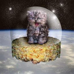 Kitten on a Rice Krispie Treat in Space