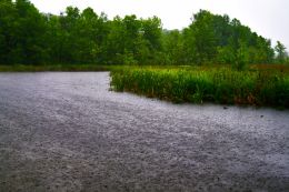 Rain on the River