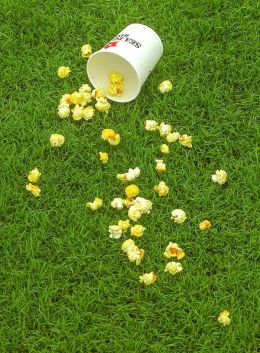 Popcorn in the park on the grass