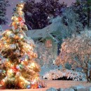 white christmas photography contest