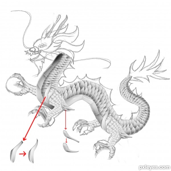 Creation of Chinese Dragon: Step 4