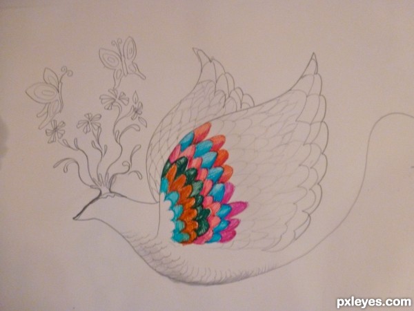 Creation of imaginary colorburst wings: Step 2