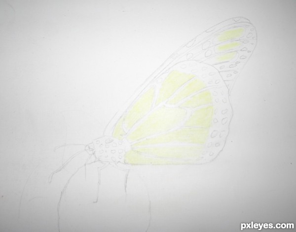 Creation of Butterfly  : Step 2