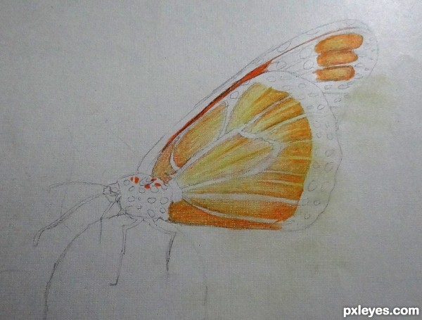 Creation of Butterfly  : Step 3