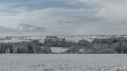 Snowy morning