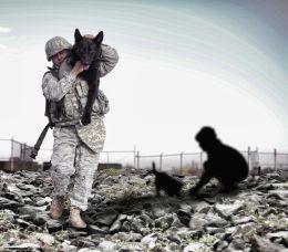 War Dog