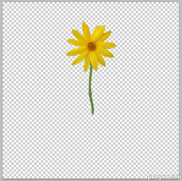 Creation of Fighting Flowers: Step 2