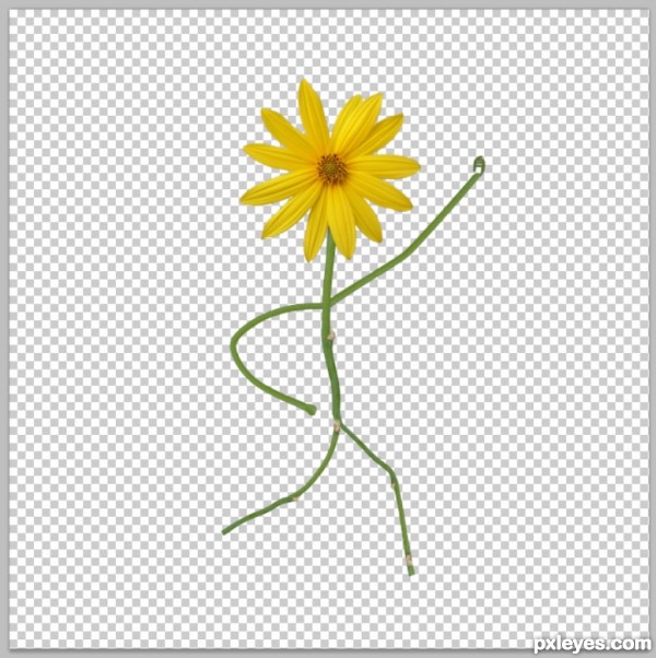 Creation of Fighting Flowers: Step 3