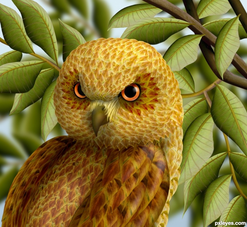 Golden Headed Owl photoshop picture)