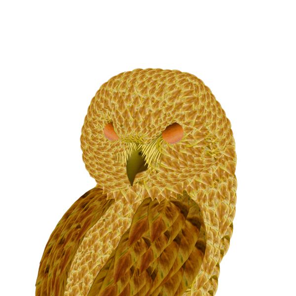 Creation of Golden Headed Owl: Step 7