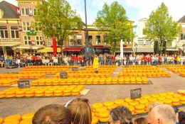 Cheese Festival Haarlem Netherlands