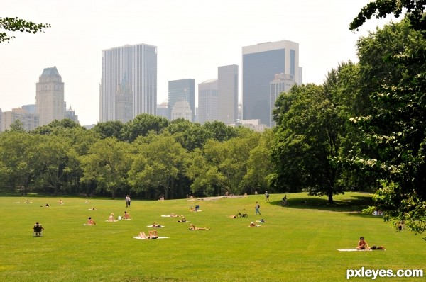 Creation of The Sheep Meadow incident: Step 1