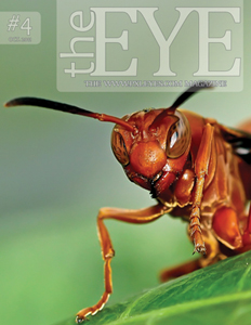 Pxleyes magazine - the eye 04