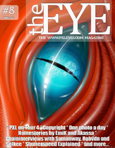 Pxleyes magazine - the eye 08
