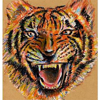 Tigers Face Drawing