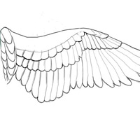 drawing angel wings tutorial