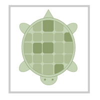 turtle tutorial