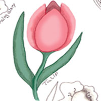 Flower Drawing Tutorial